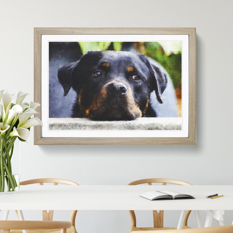 Rottweiler Dog - Picture Frame Graphic Art, 27cm H x 36cm W x 2cm D, Oak Framed