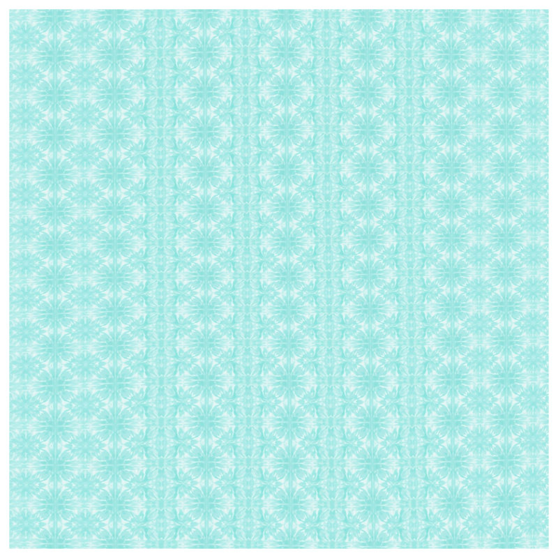 Tapis de bain Aqua, L 24 po x L 17 po