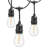 Outdoor 16 - Bulb 48'' Plug-in String Light