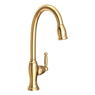 Nadya Single Handle Pull Down Kitchen Faucet