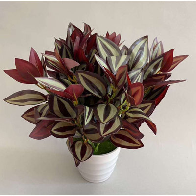 PURPLE ZEBRINA POT