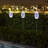 Low Voltage Solar Powered LED Pathway Light Pack