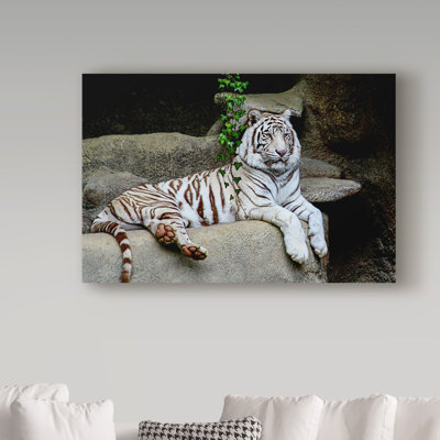 Fillmer «White Tiger on Cliff», reproduction de photo sur toile tendue