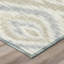 Tapis Ceajay ACN3071 Ikat lavable à la machine pour intérieur/extérieur-245016406-245016414