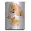 "Pomeranian" par Barbara Keith-1826327913