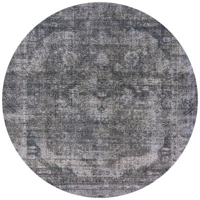 Pavie Oriental Indoor Rug