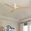 Ventilateur de plafond 52 po avec ensemble d'éclairage et télécommande Karlena-1157584269