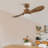 Chantha 42'' Ceiling Fan with LED Lights