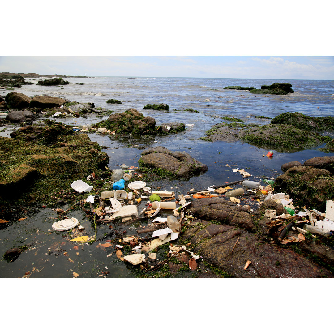 Müll auf dem Meer in Salvador von Joa_Souza - Drucken