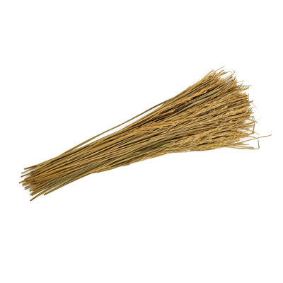 Guthrie Long Dried Grass Bunch I