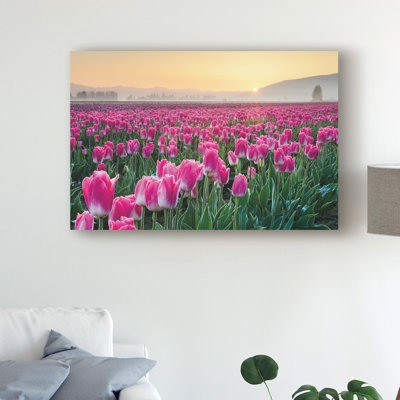 «Skagit Valley Tulips I» par Alan Majchrowicz - reproduction de photo sur toile
