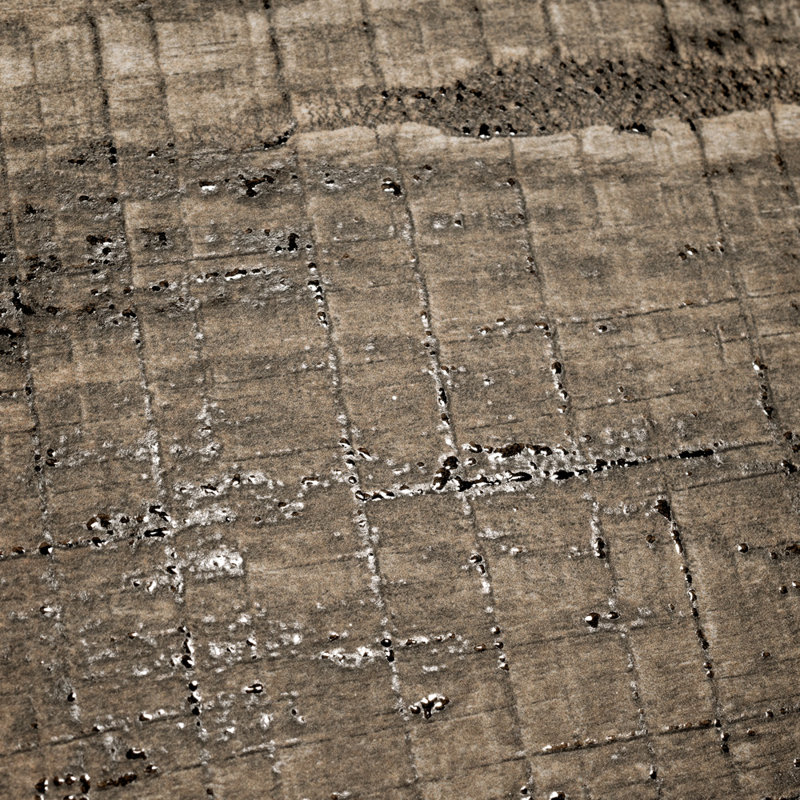 Sabini Timber 10" x 10" Porcelain Field Wall and Floor Tile