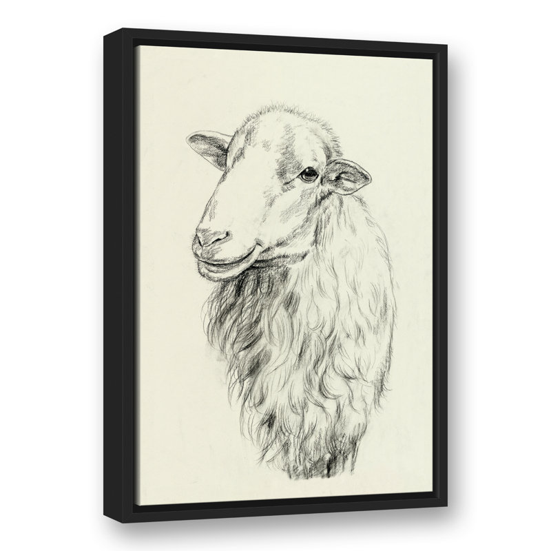 « campagne mouton sketch », reproduction de dessin sur toile tendue, H 24 po x l 16 po, Cadre noir
