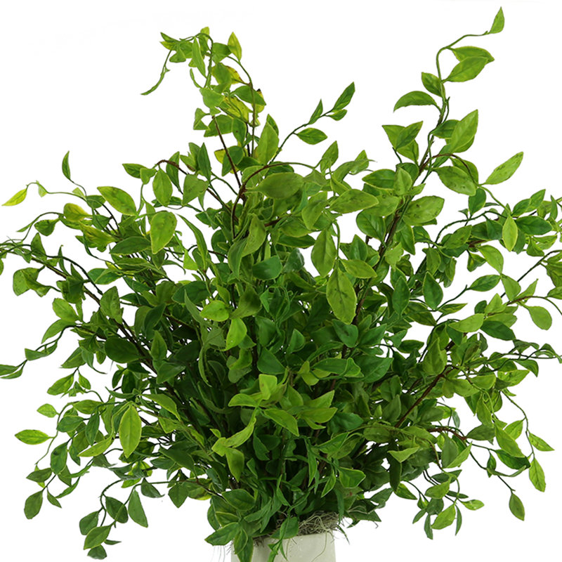 Arrangement Mandland biologique moderne Nandina