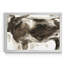 Longhorn Study II - Reproduction d'art sur toile encadrée-1649286599-1649286598