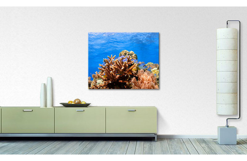 Stretched On Wooden Frame Print on Canvas, 80 cm H x 100 cm B x 2 cm T