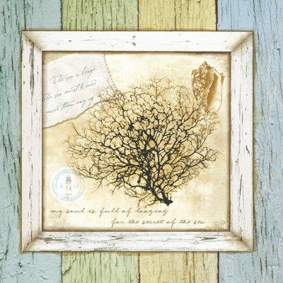 Sea Treasures III - Wrapped Canvas Painting