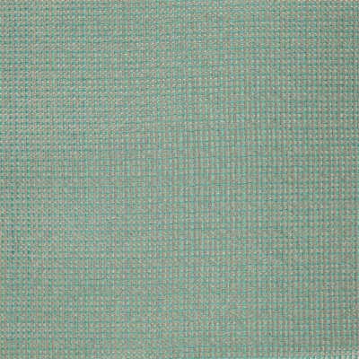 Accents Fabric