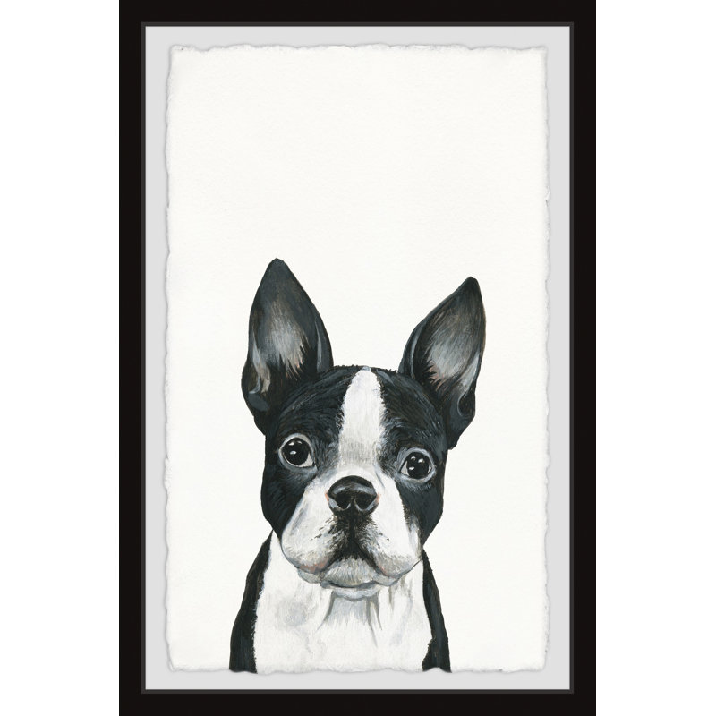 Curious Doggy by Marmont Hill - Single Picture Frame Print, 30cm H x 20cm W x 3.81cm D