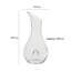 Sommelier Carafe