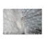 Art mural sur toile tendue - Victoria White «As White As Snow» pour décoration de salon, de chambre à coucher ou de bureau - 22 x 32-22375164