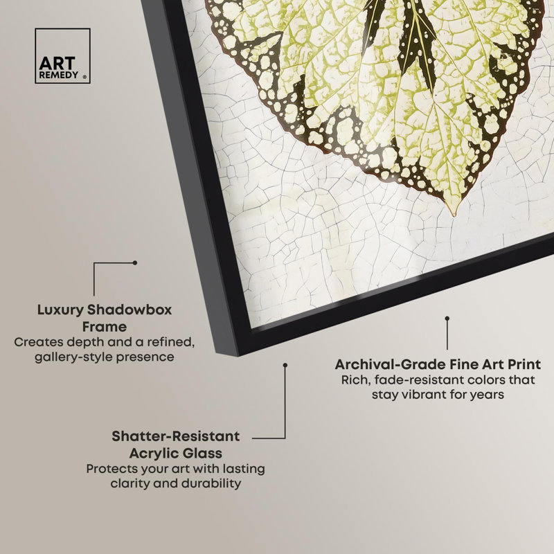 «Leaf Unravels II», reproduction botanique, boîte-cadre par Art Remedy, H 37 po x l 25 po, Noir