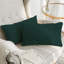 Ensemble de 2 housses de coussins décoratifs en velours luxueux pour la collection de 1 lit double-98421595-97882529