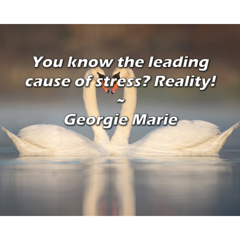 Artsy Quote "You know the leading cause of stress? Reality!" By Georgie Marie Gallery Wrapped Canvas, 17" H x 24" W