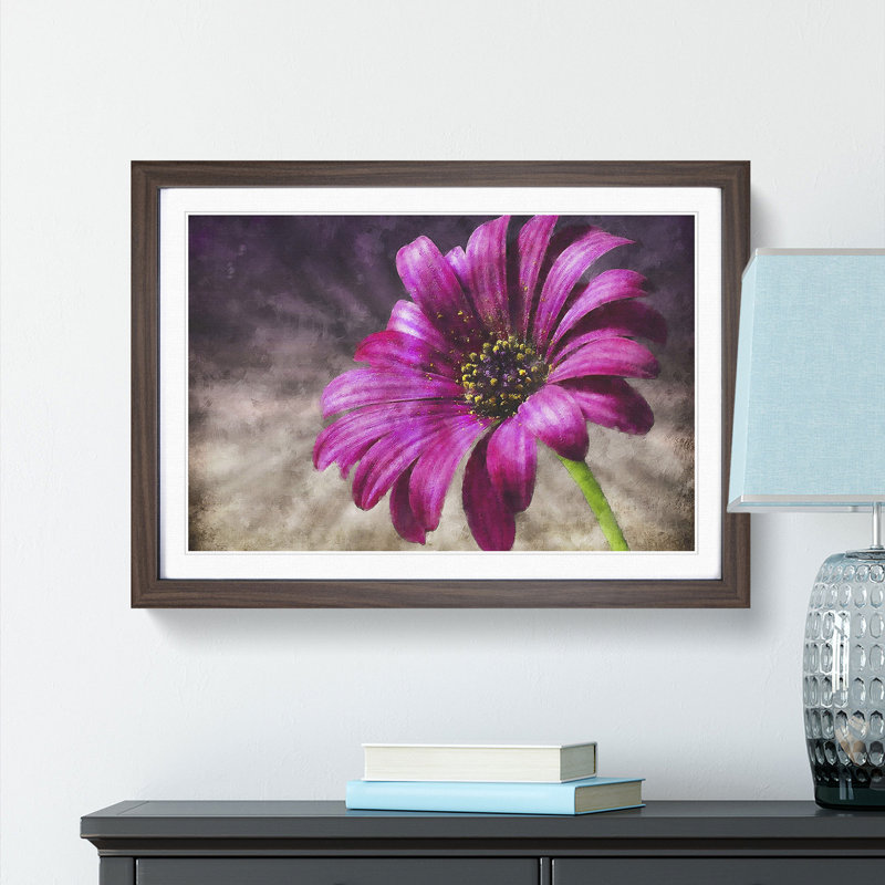 Purple Daisy - Picture Frame Painting Print, 62cm H x 87cm W x 2cm D, Walnut Framed