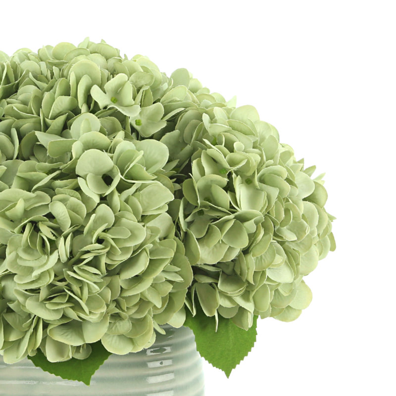 Hydrangeas Arranged in Ceramic Vase