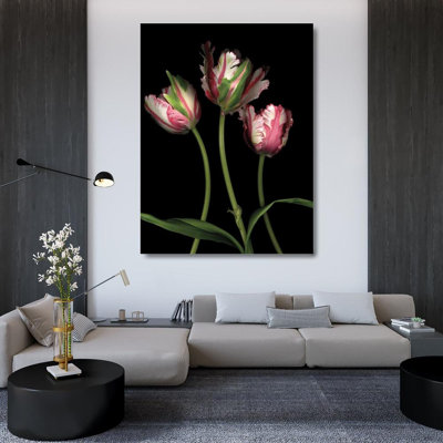 Red Barrel Studio® Levine, Andrew Gallery Wrapped Canvas Art Titled: Parrot Tulips II