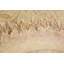One-of-a-Kind 4'7" x 5'1" Hand Knotted Area Rug