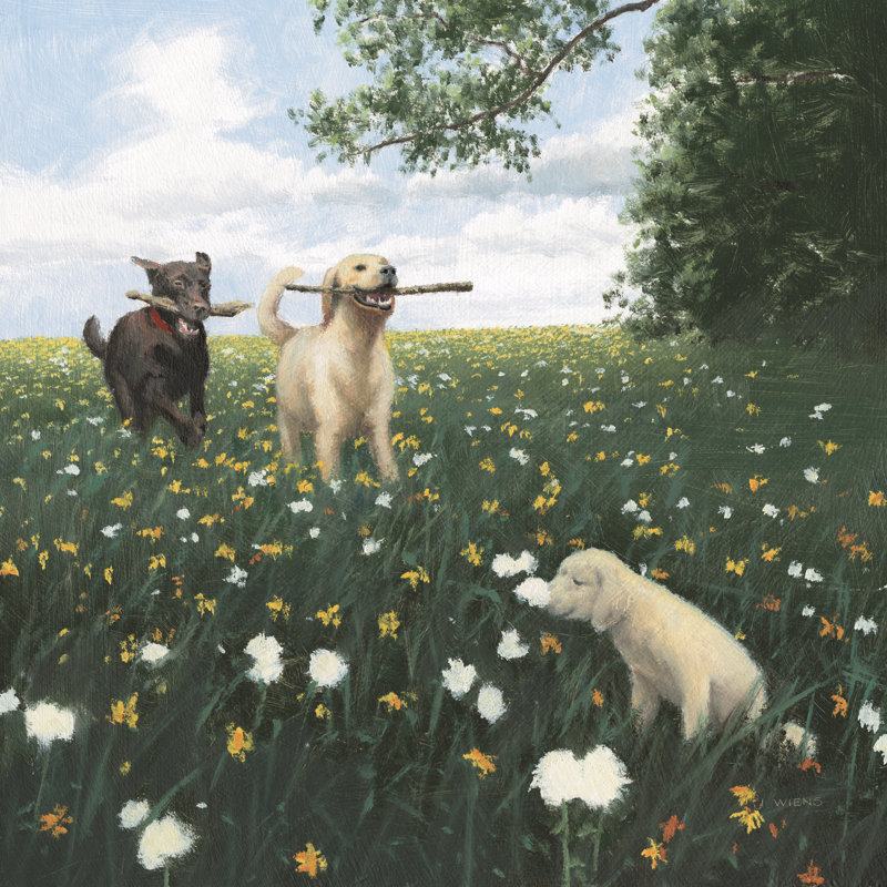 Playful - No Frame Painting on Canvas, 76cm H x 76cm W x 3.8cm D