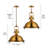 Boltwood 1 - Light Gold Dome Pendant
