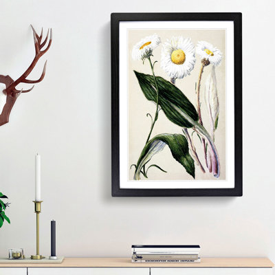 Mountain Daisies by Sarah Featon - Picture Frame Painting Print