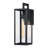 Iron Wall Light