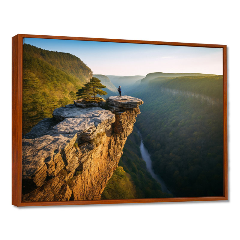 Arkansas Whitaker Point I - art mural grand Arkansas, H 16 po x l 32 po x P 1 po, Cadre flottant brun