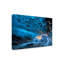 Art sur toile Bragi Kort-1207221608