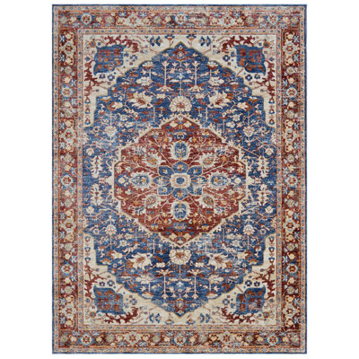 Oriental Indoor Rug