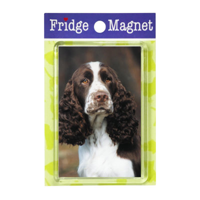 Fridge Magnet