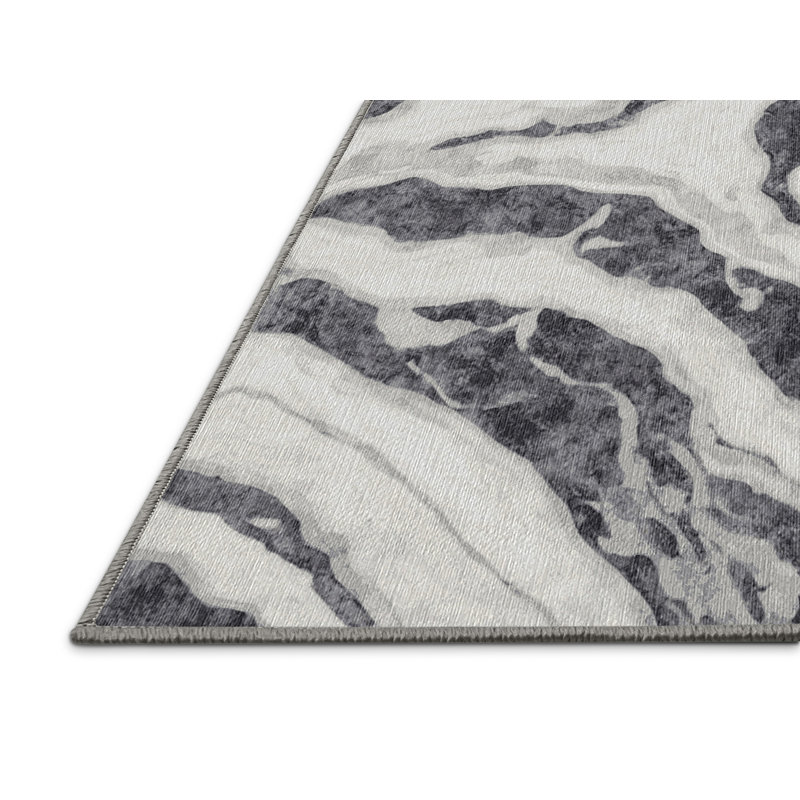 Tapis gris lavable à la machine, Rectangle 6 pi x 9 pi