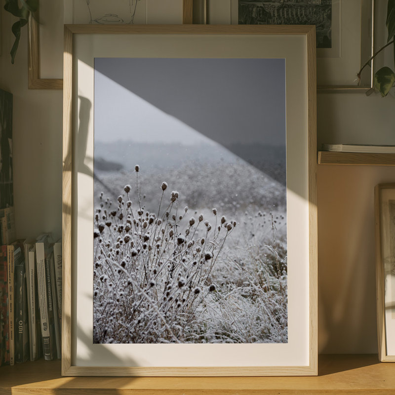 Wrapped Canvas Print, 76.2 cm H x 50.8 cm W