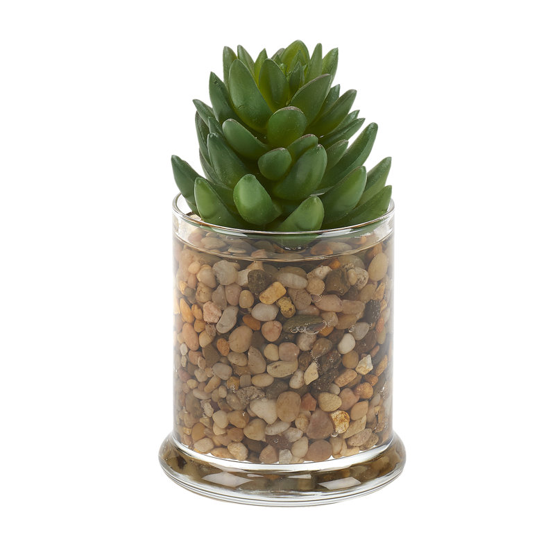 Succulent dans un petit pot de bougie en verre