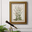 " Munting Botanicals III "-1694107788