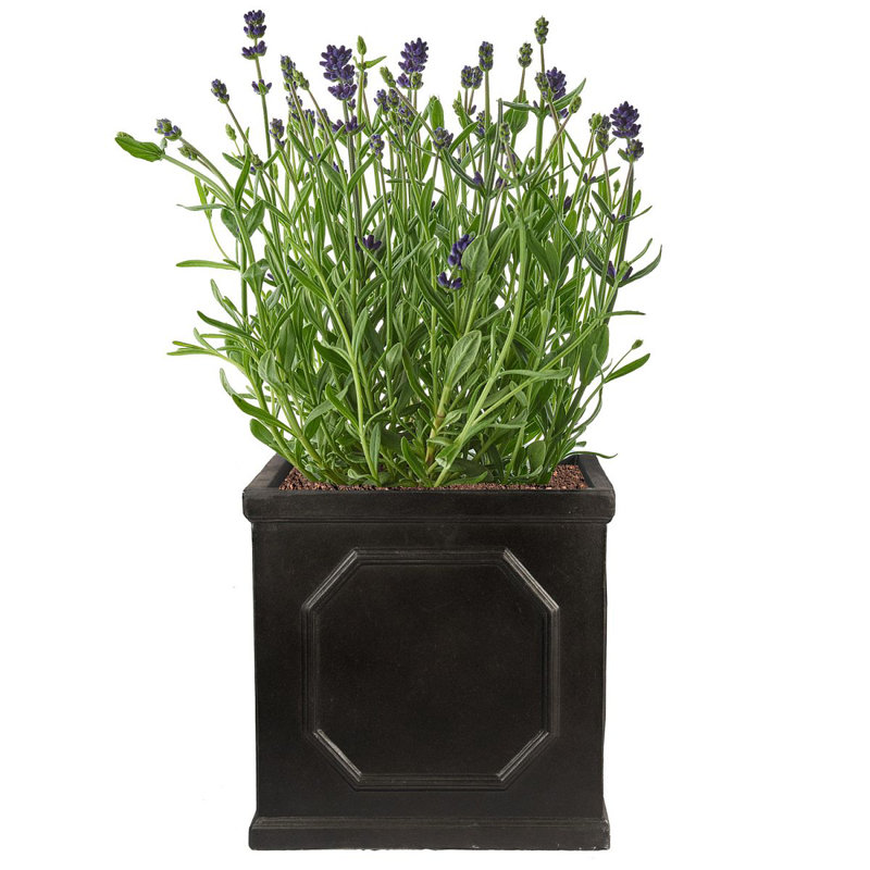 Handmade Planter Box, 22cm H x 22cm W x 22cm D, Dark Grey