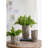 Byromville Pot fleurs en ciment-29464997