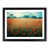 Black Framed selected