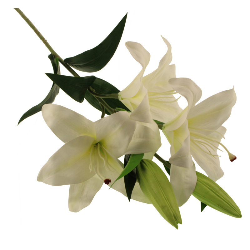 Lillies Arrangement, White