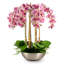 Abrienne RealTouch Orchid Arrangement-368793359