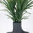 34" Real Touch Artificial Onion Grass In A Black Modern Planter - Perfect Décor For Any Modern Home